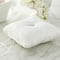 Vintage Lace Ring Bearer Pillow by Celebrate It™ Occasions™